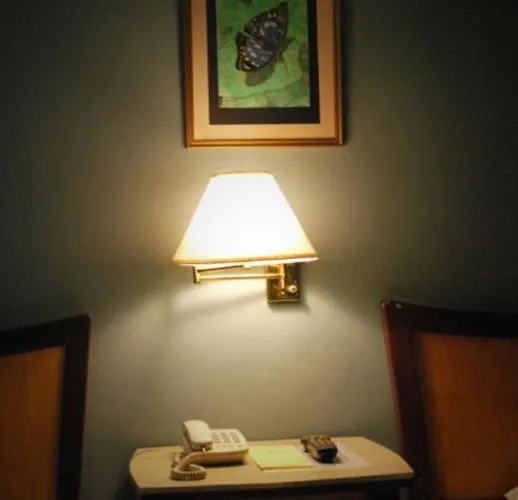 Business Hotel 3*